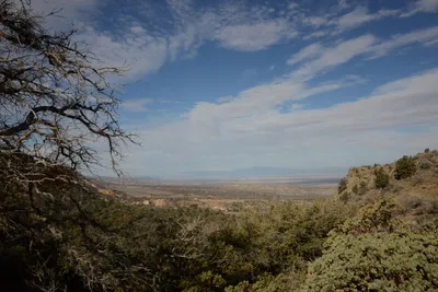 DSC_6242 (Large).JPG